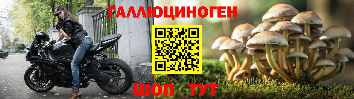 Галлюциногенные грибы Magic Shrooms Татарск